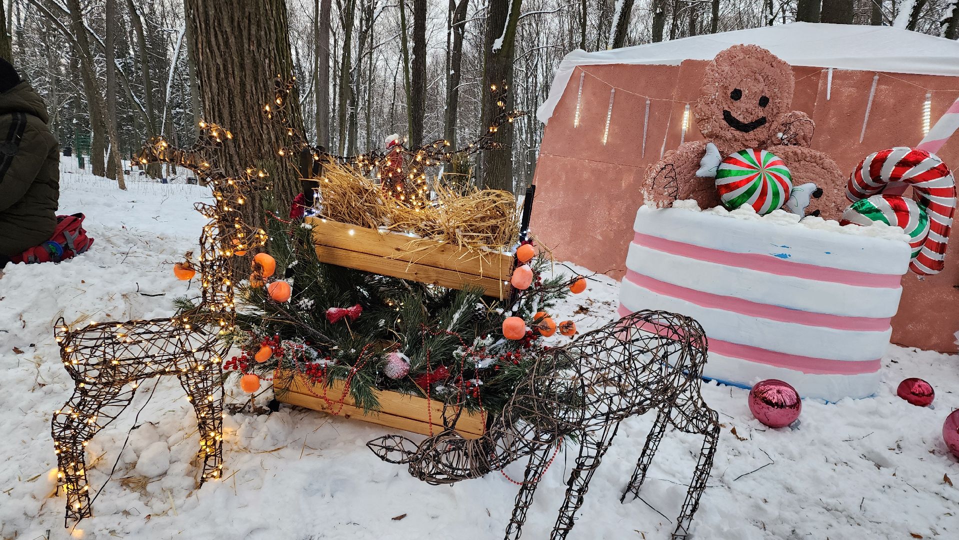 Раменское, Усадьба Быково, Елка в усадьбе Быково, новогоднее представление, Вертикальное видео, Вертикалка,