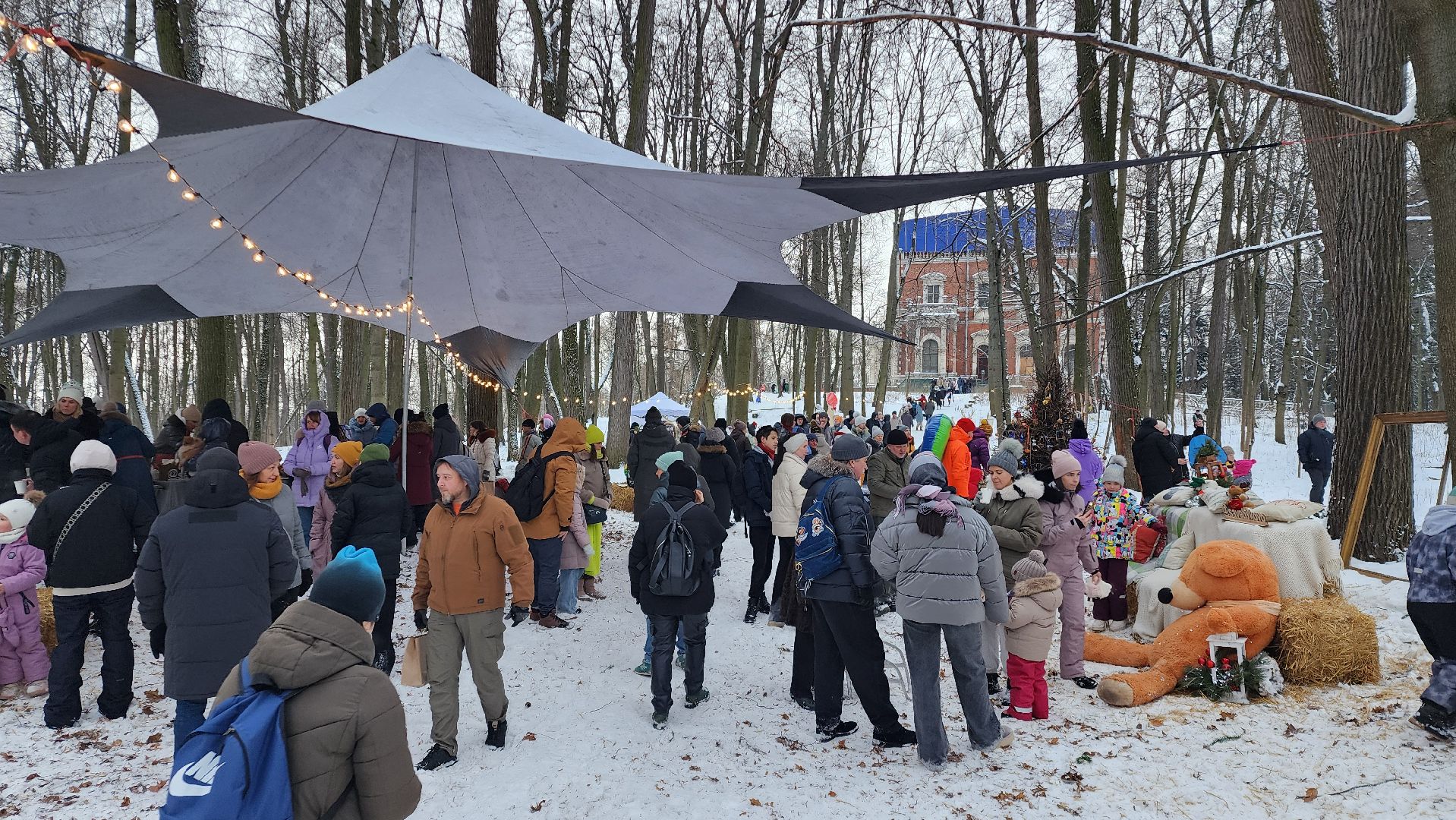 Раменское, Усадьба Быково, Елка в усадьбе Быково, новогоднее представление, Вертикальное видео, Вертикалка,