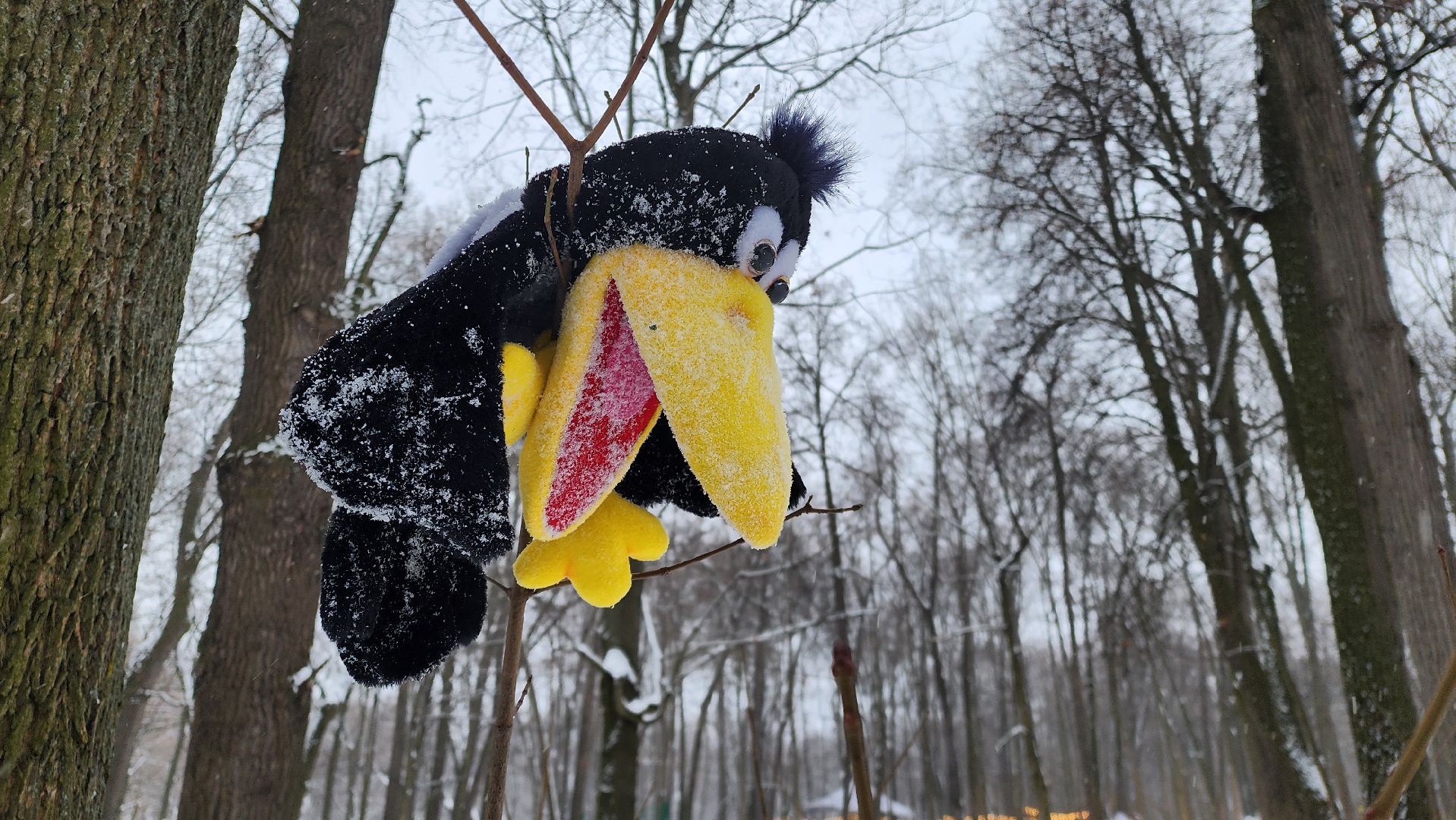 Раменское, Усадьба Быково, Елка в усадьбе Быково, новогоднее представление, Вертикальное видео, Вертикалка,