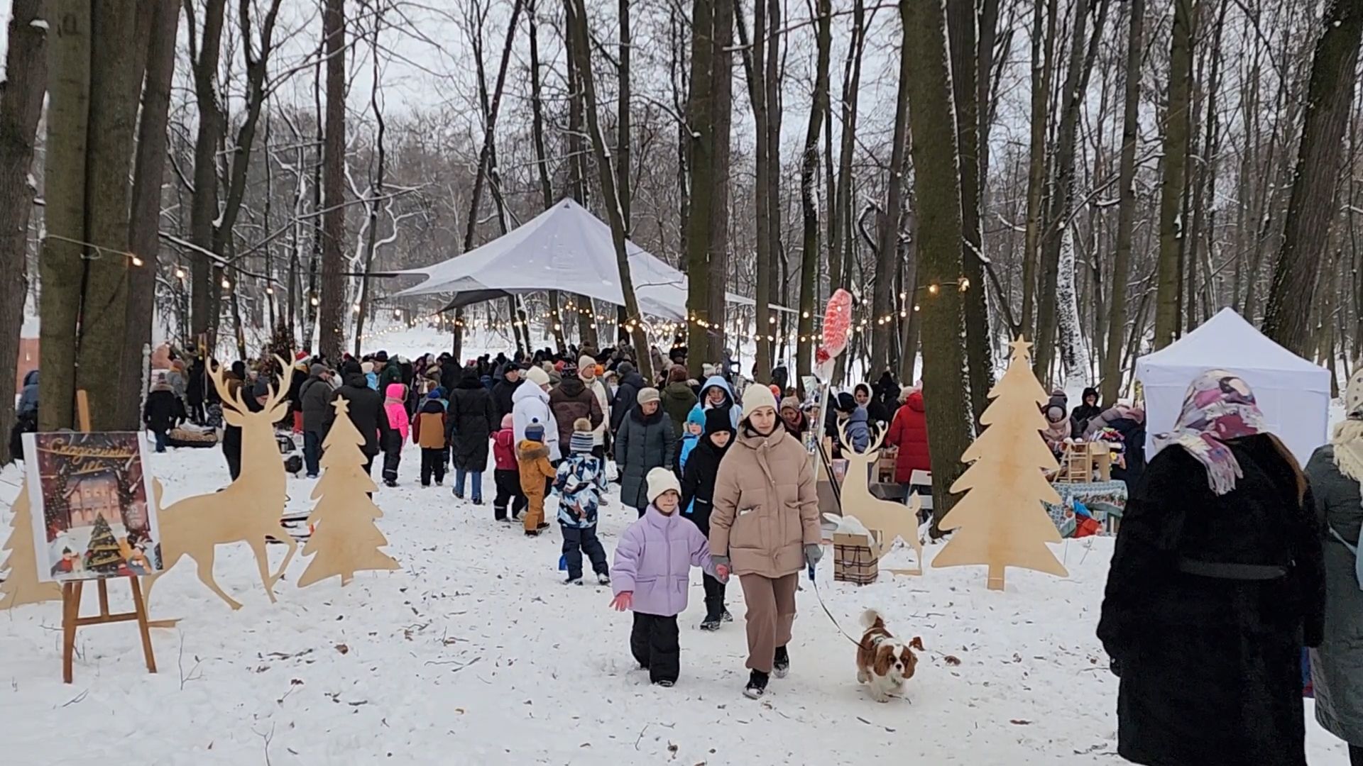 Раменское, Усадьба Быково, Елка в усадьбе Быково, новогоднее представление, Вертикальное видео, Вертикалка,