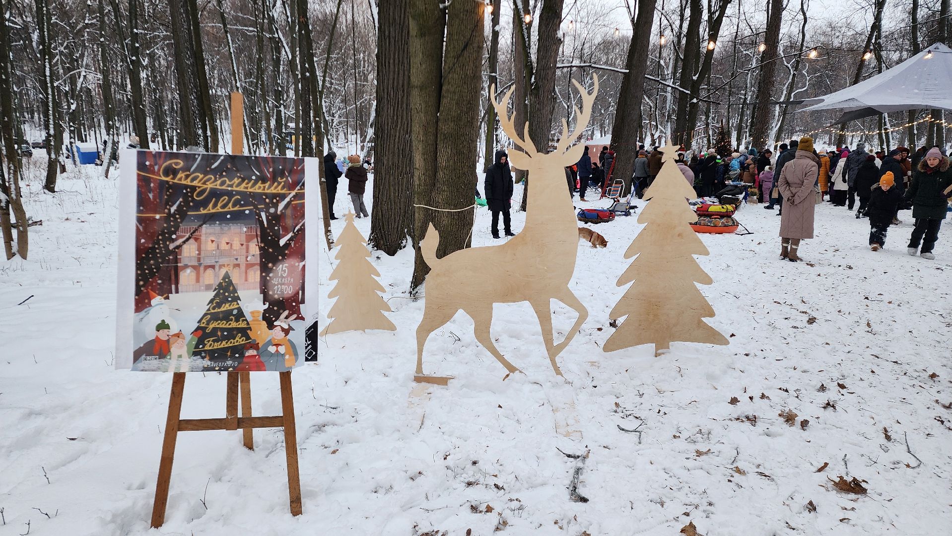 Раменское, Усадьба Быково, Елка в усадьбе Быково, новогоднее представление, Вертикальное видео, Вертикалка,