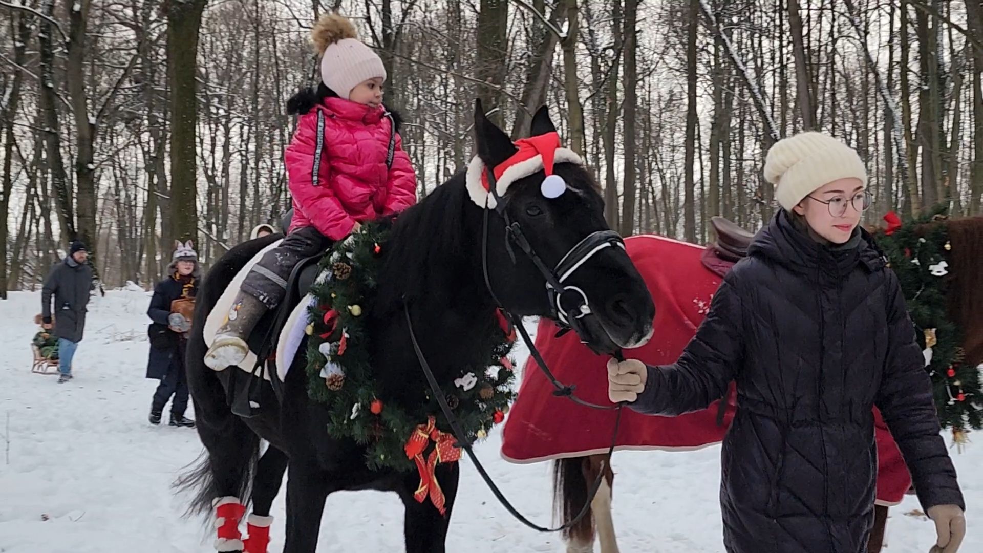 Раменское, Усадьба Быково, Елка в усадьбе Быково, новогоднее представление, Вертикальное видео, Вертикалка,