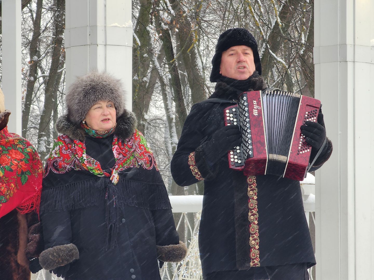 воскресенск, зима в подмосковье, парк, кривякино,