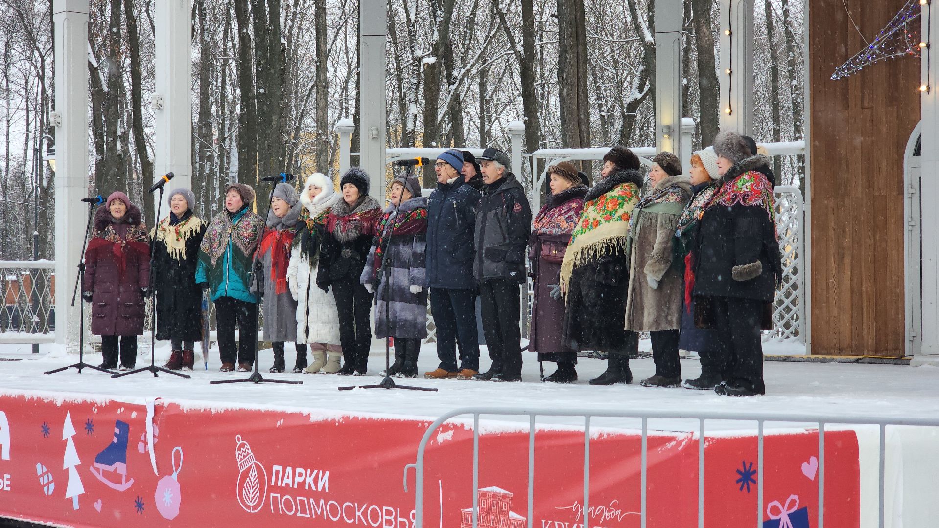 воскресенск, зима в подмосковье, парк, кривякино,
