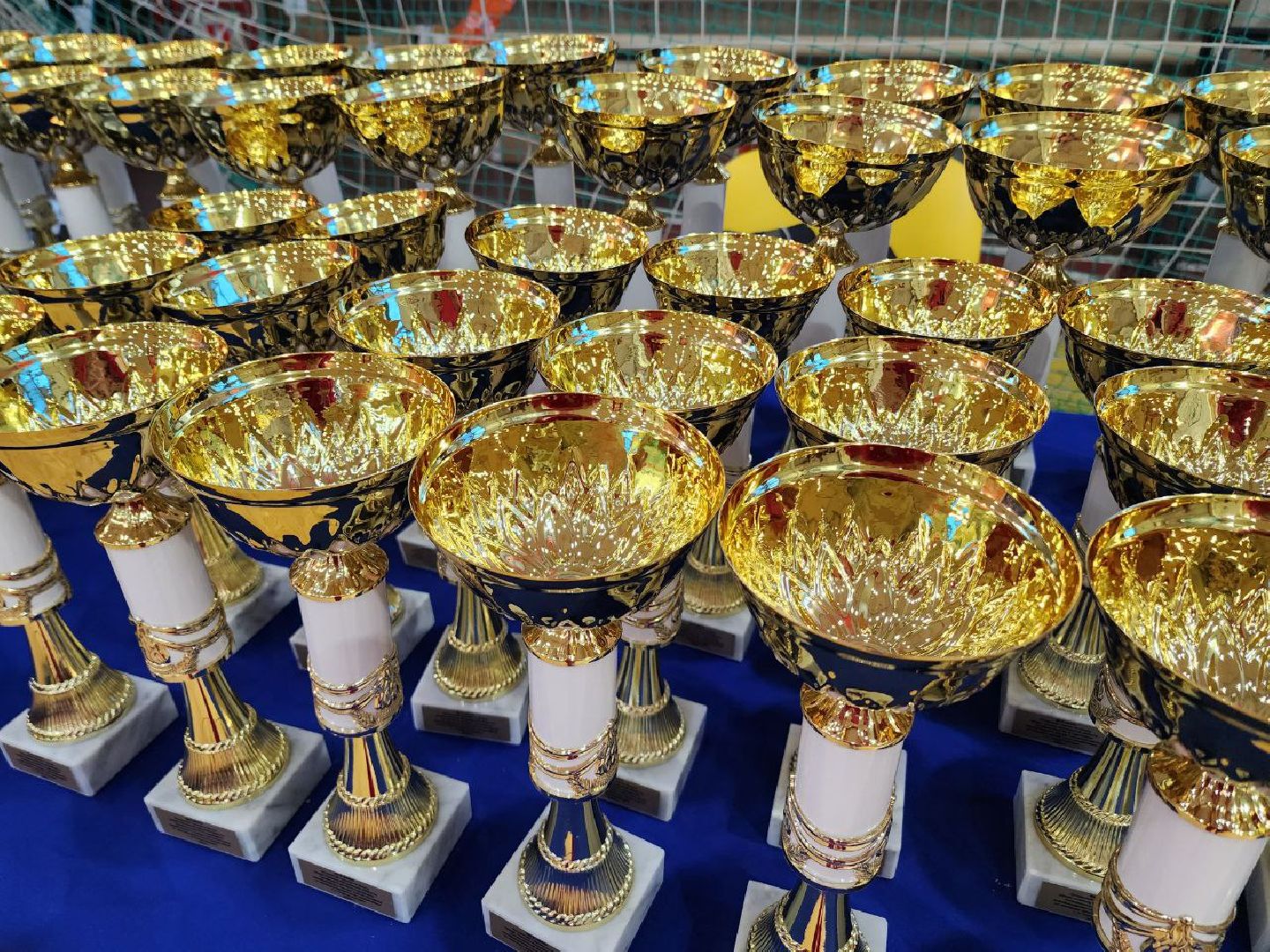 Солнечногорск, Спорт, Бокс, Победа, вертикалки,