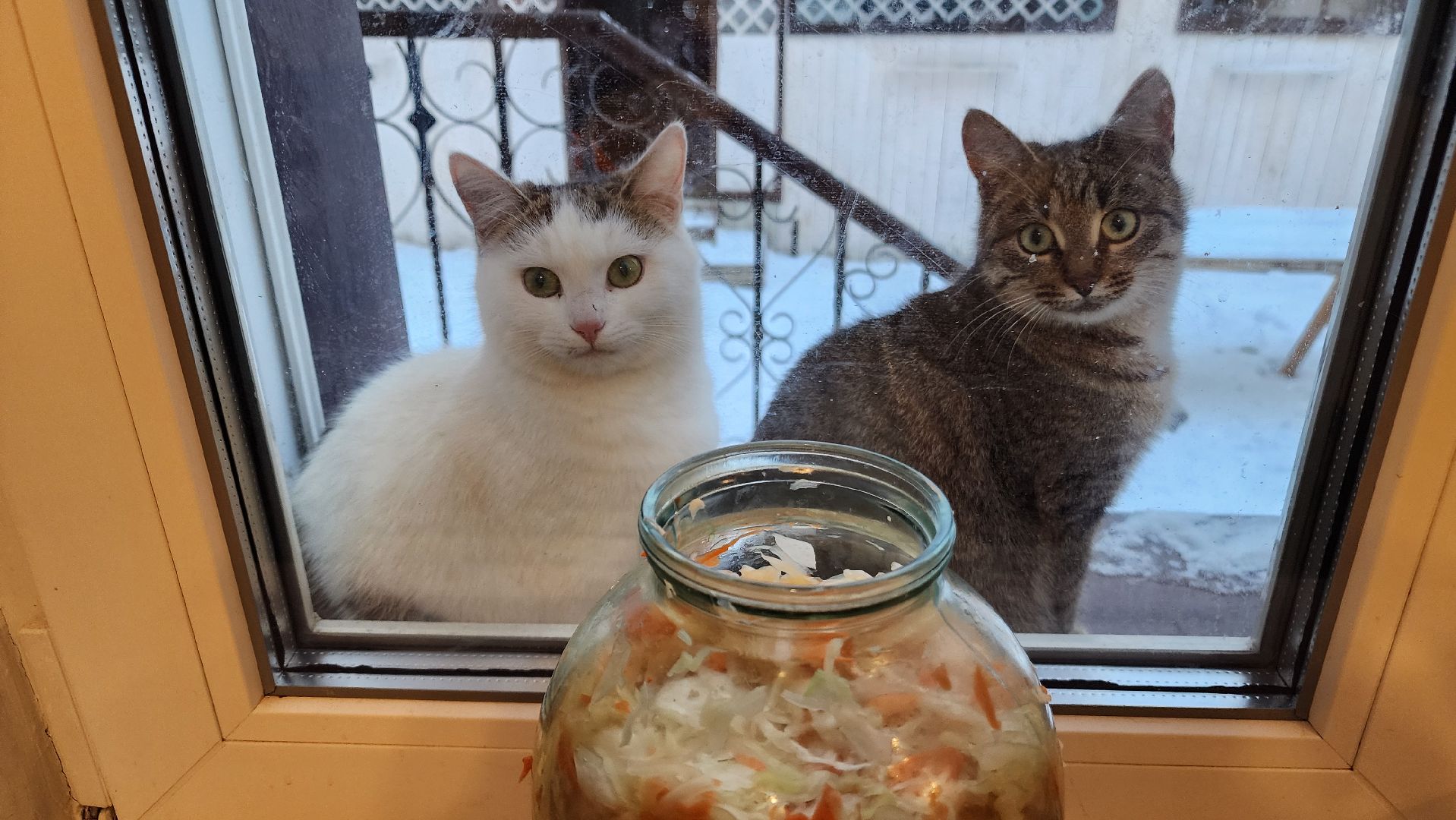 ступино, новый год, новогодние традиции, история,