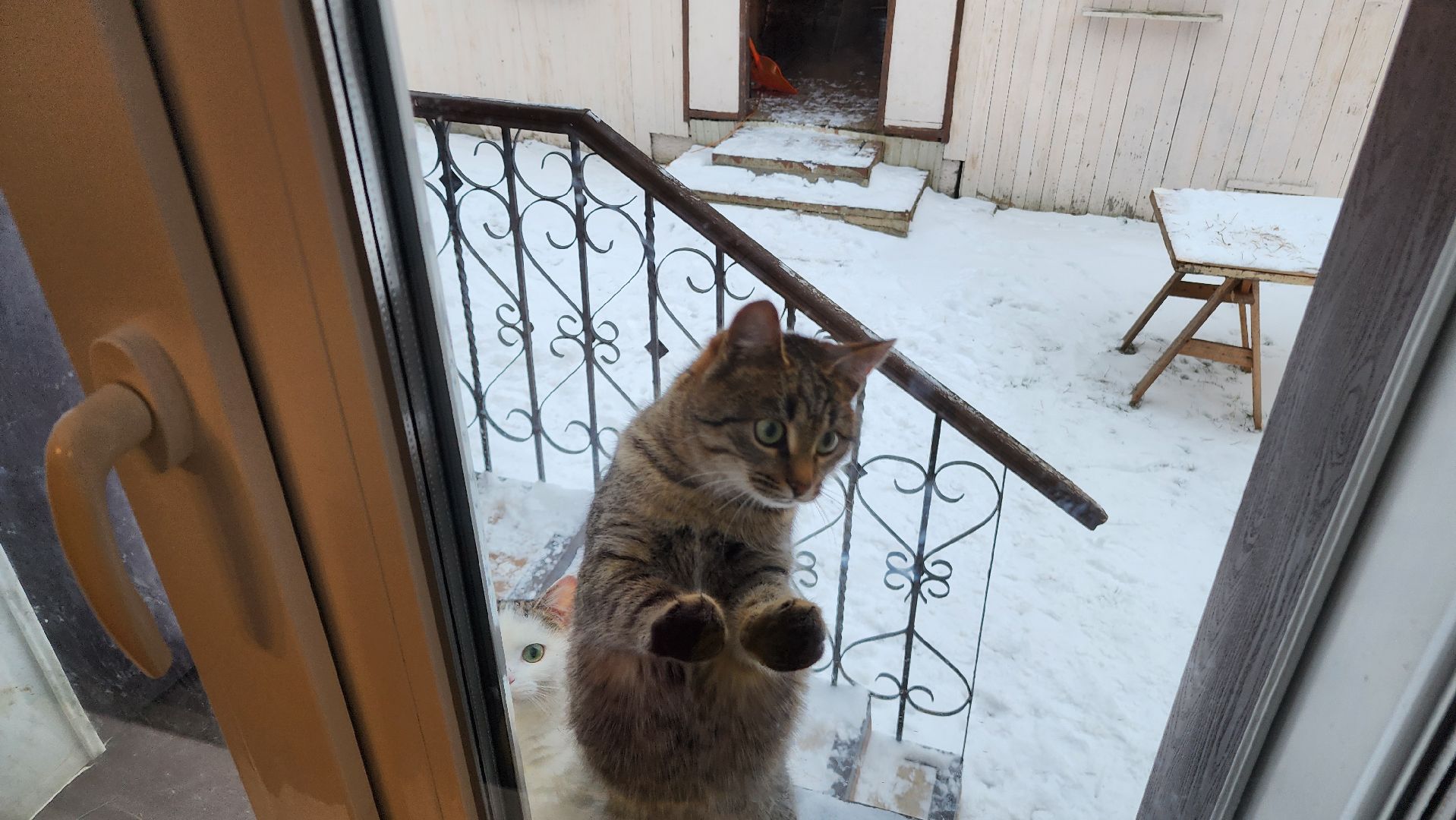 ступино, новый год, новогодние традиции, история,