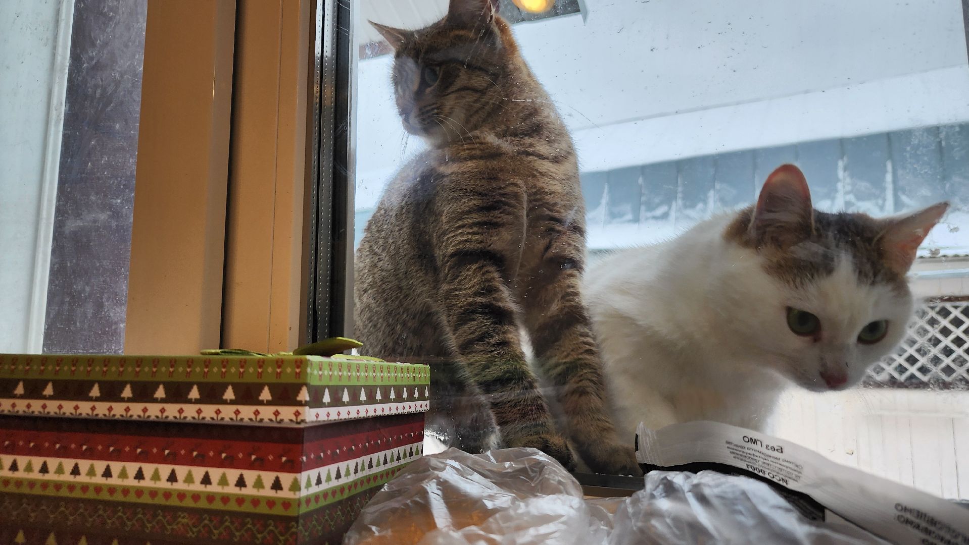 ступино, новый год, новогодние традиции, история,