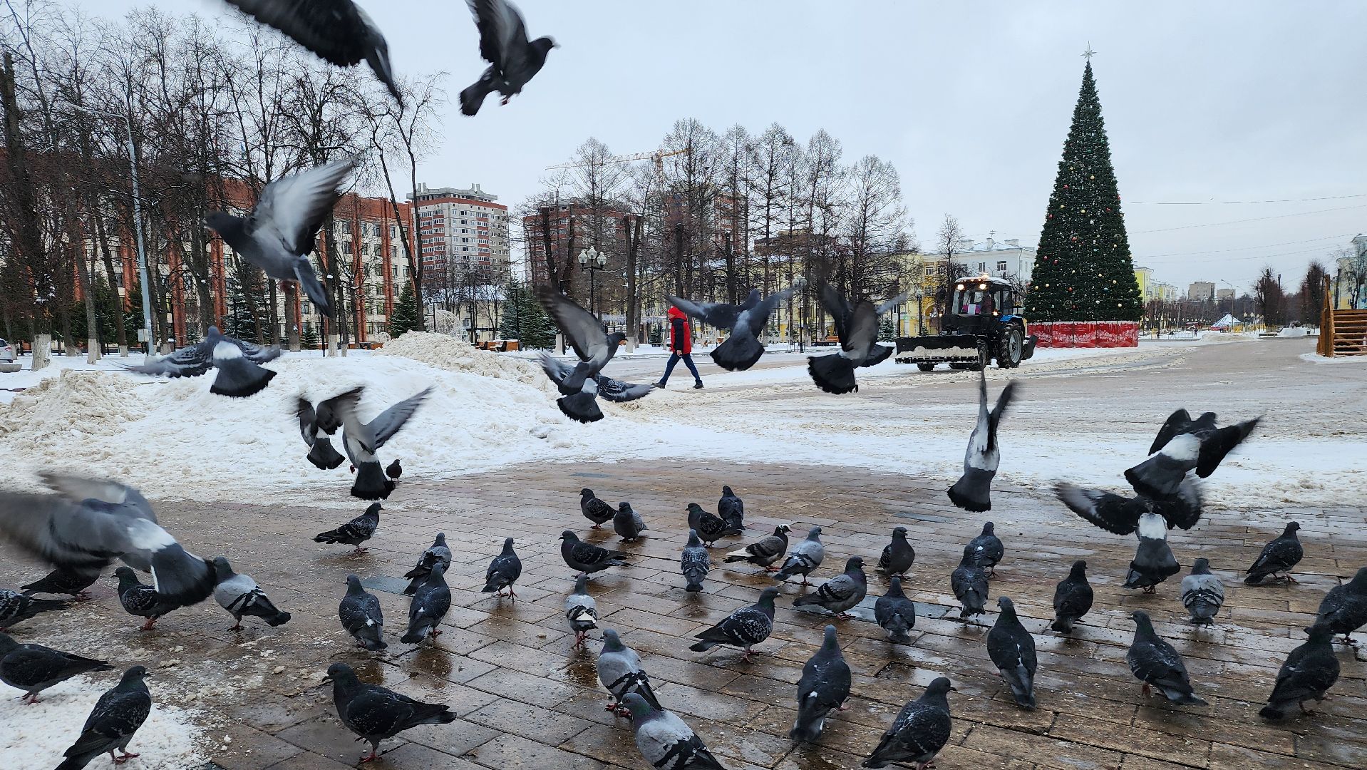 ступино, благоустройство, уборка снега, вертикалки,