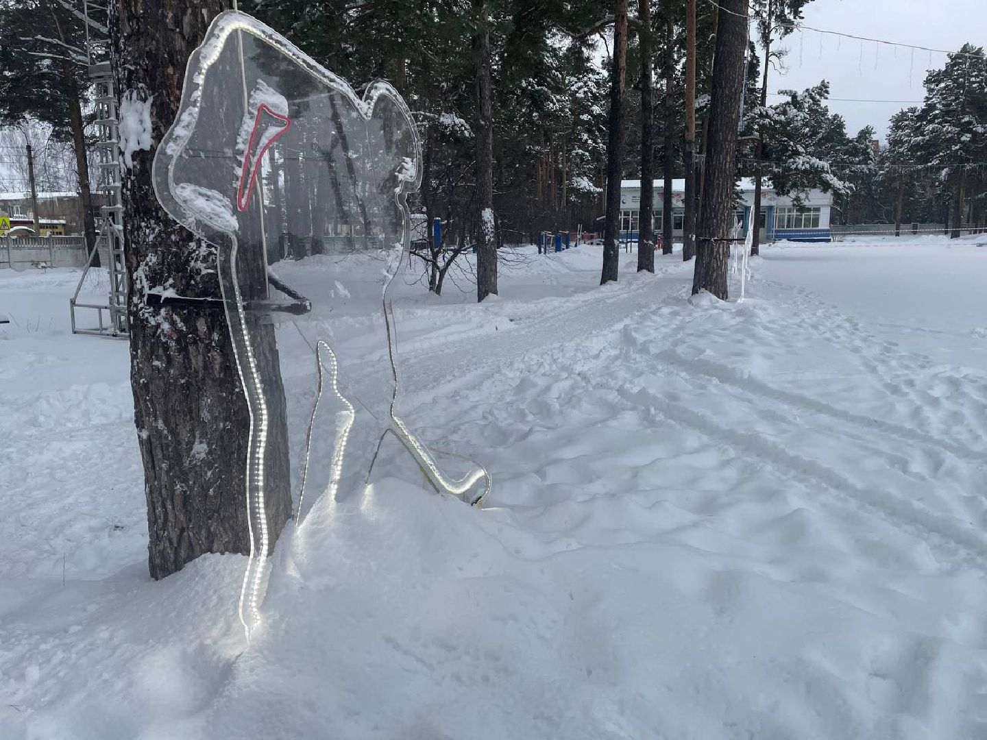 дмитров, зима в подмосковье, зимние катки, вертикалки,