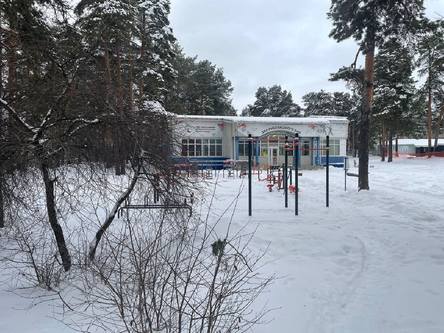 дмитров, зима в подмосковье, зимние катки, вертикалки,