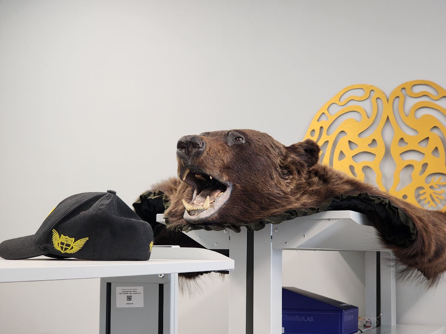 долгопрудный, технопарк, физтех-лицей,лаборатории, оранжерея, роботы,узбекистан,