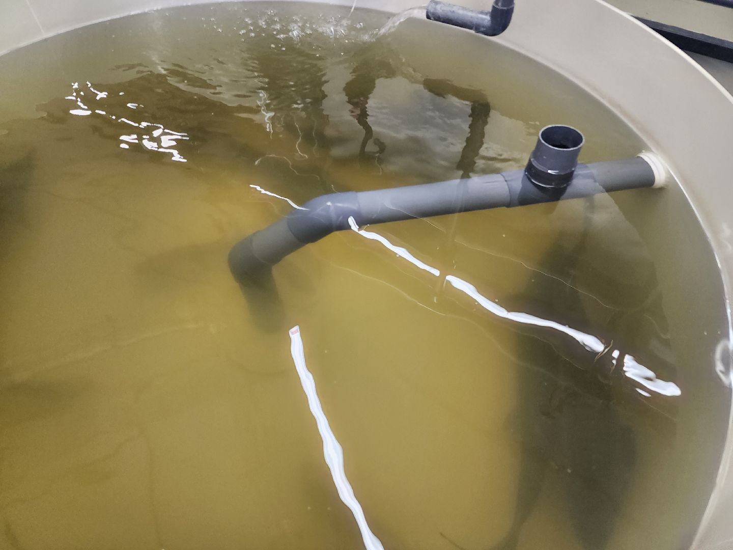 долгопрудный, технопарк, физтех-лицей,лаборатории, оранжерея, роботы,узбекистан,