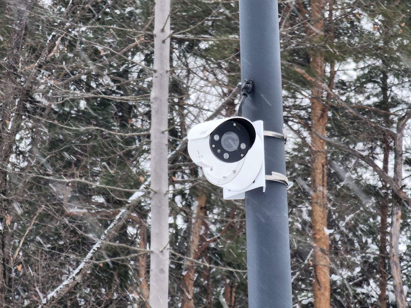 одинцово, связь трех парков, вертикалка, вертикальное видео,велодорожка,