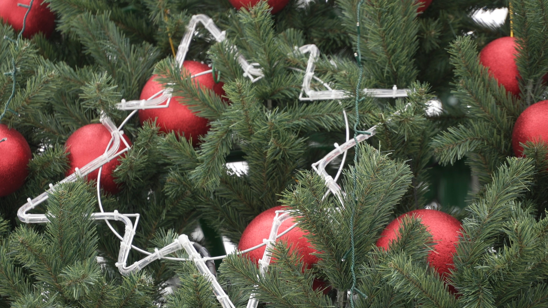 елка на площади ДК Власиха, новогодняя елка, новый год Власиха, праздник нового года, новый 2025 год,