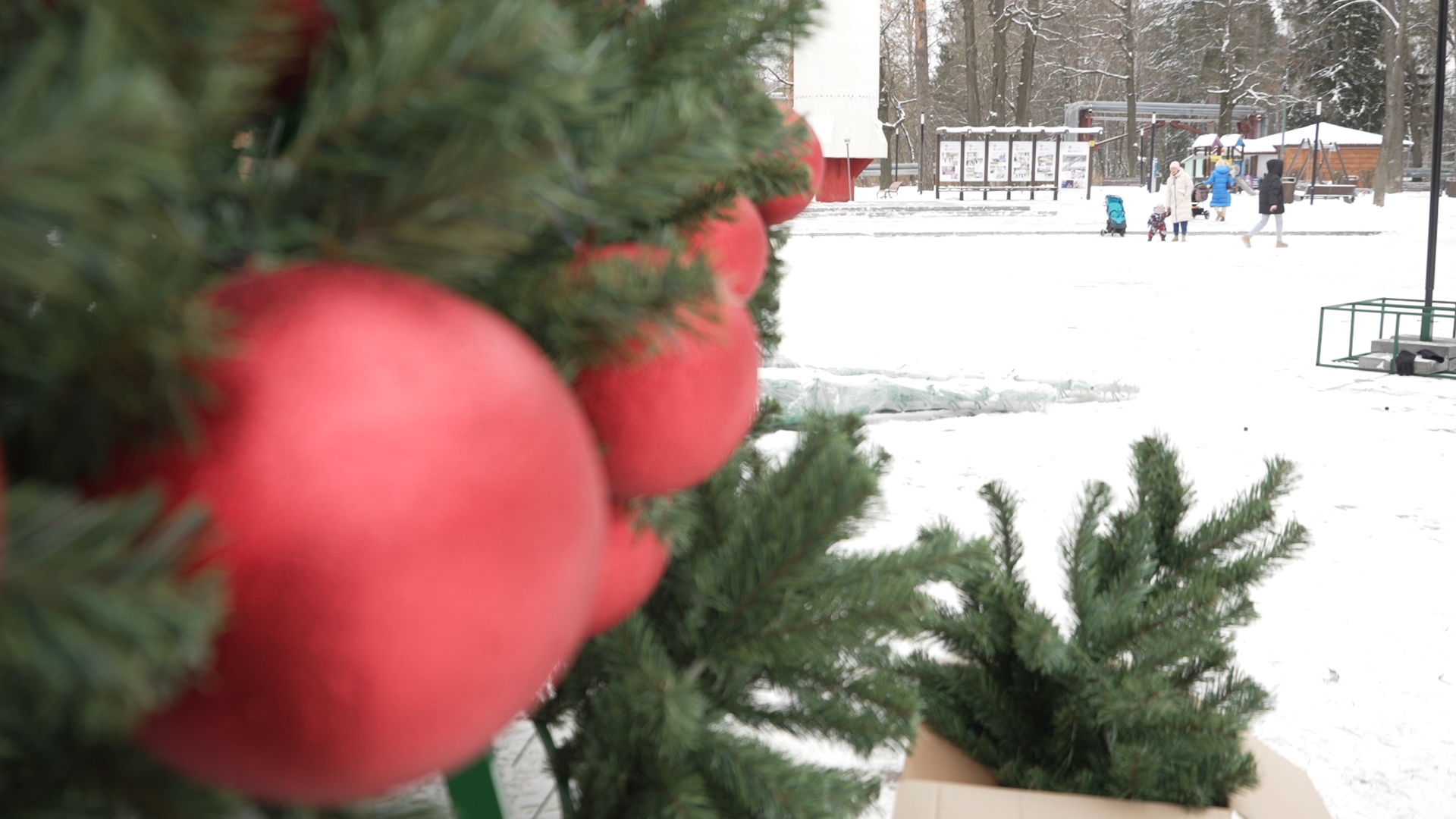 елка на площади ДК Власиха, новогодняя елка, новый год Власиха, праздник нового года, новый 2025 год,