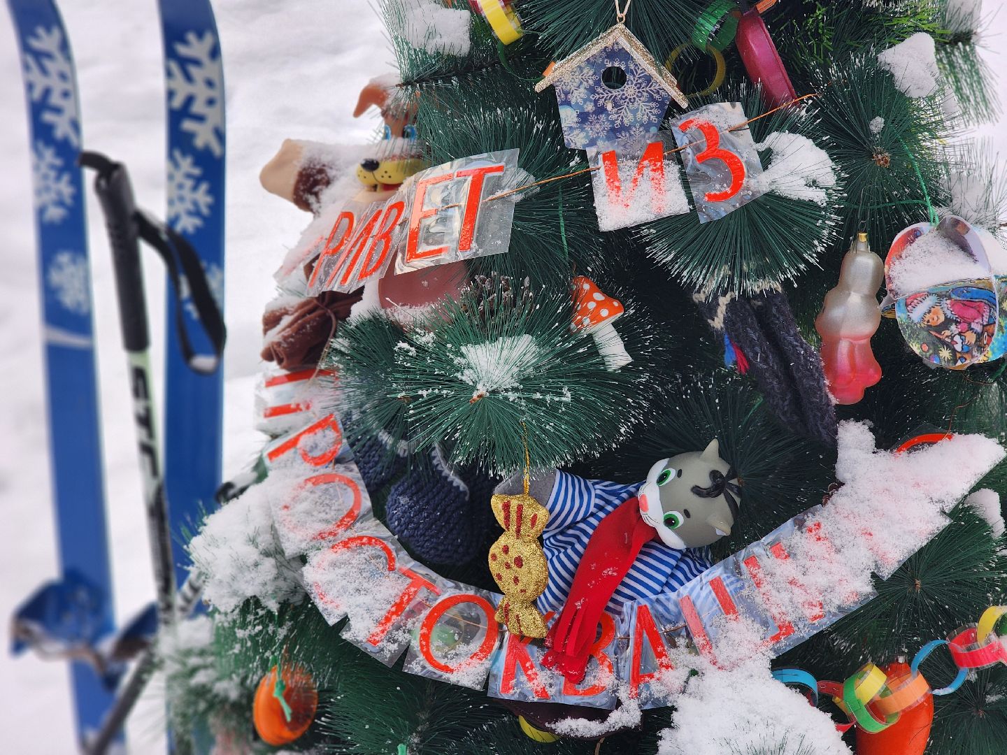 воскресенск, парк кривякино, чудные елки, вертикалки, новый год, зима в подмосковье,