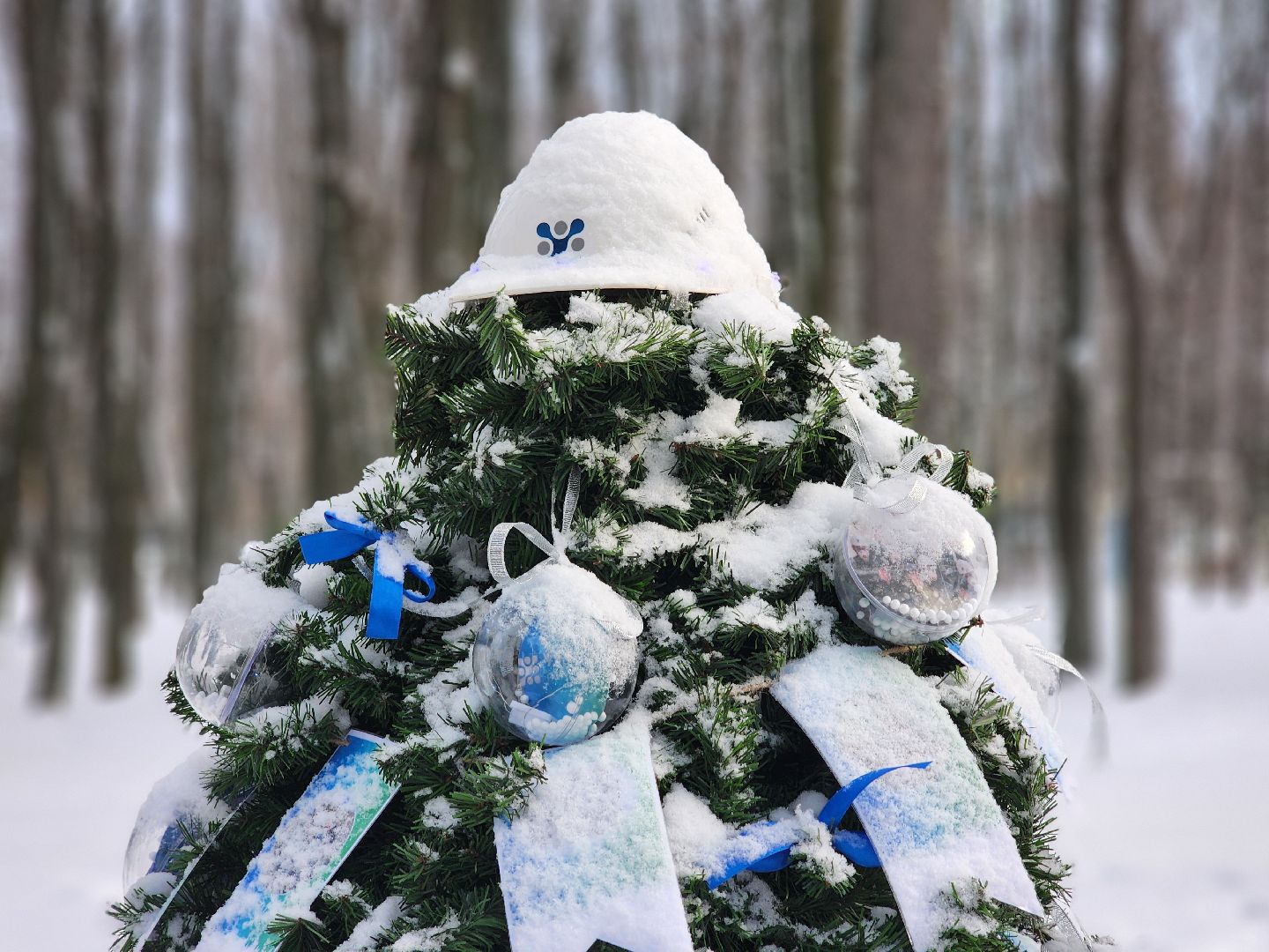 воскресенск, парк кривякино, чудные елки, вертикалки, новый год, зима в подмосковье,