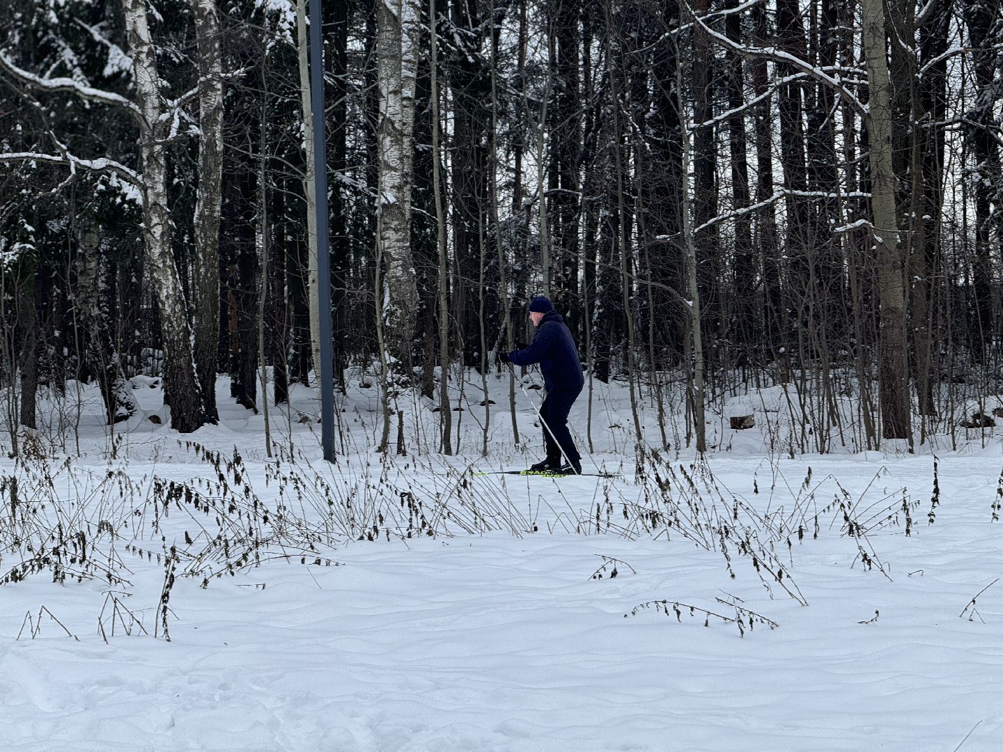 зима в подмомсковье, зима в парках, Лыжные трассы, лыжная база, прокат лыж,Парк Апаринки,