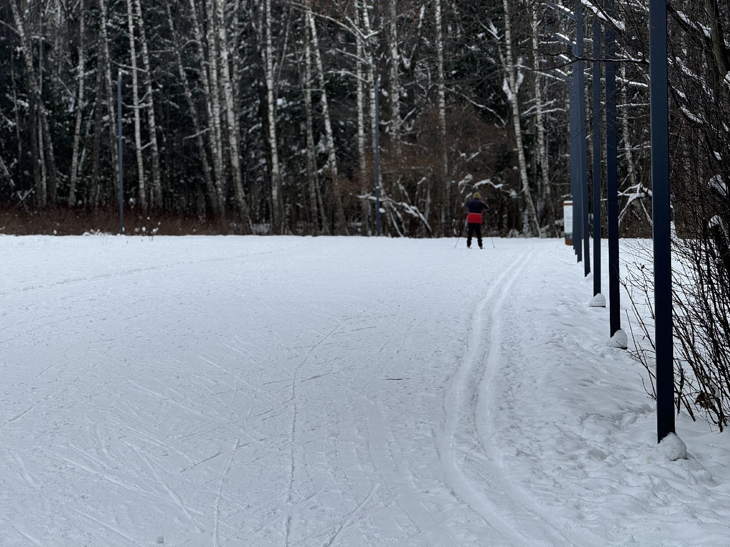 зима в подмомсковье, зима в парках, Лыжные трассы, лыжная база, прокат лыж,Парк Апаринки,