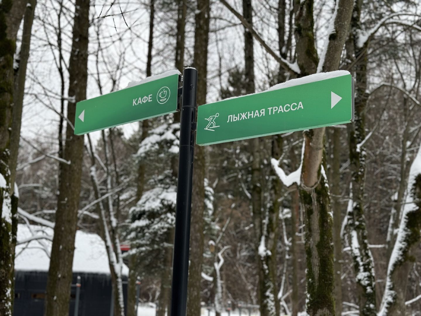 зима в подмомсковье, зима в парках, Лыжные трассы, лыжная база, прокат лыж,Парк Апаринки,