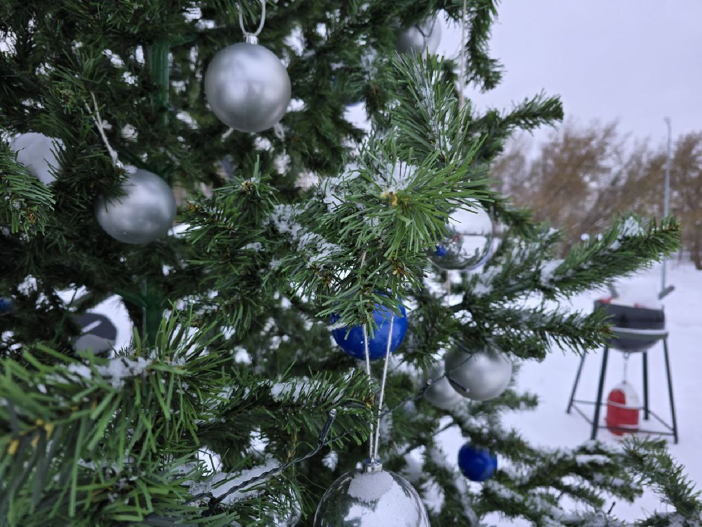 можайск, можайский городской округ, подмосковье, парк ривьера, городской парк, новый год, украшение парка, зима в подмосковье, праздник, благоустройство, вертикалки,
