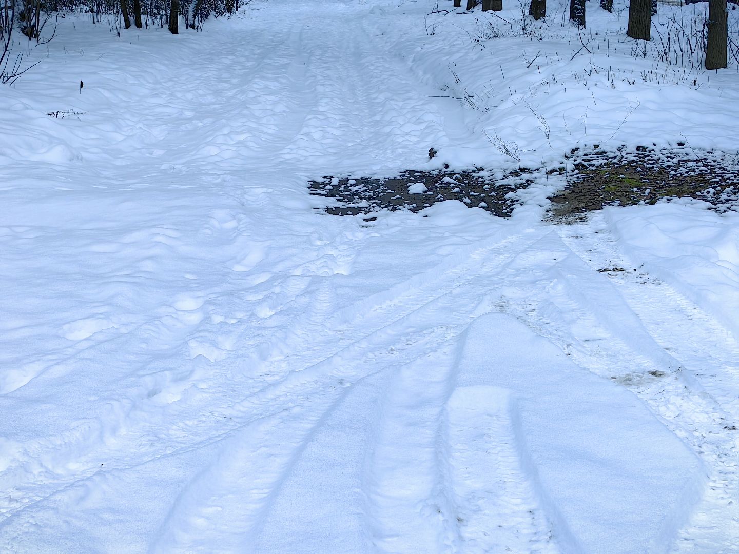уборка снега, тротуар, пешеходная зона, администрация, ук, вертикалка