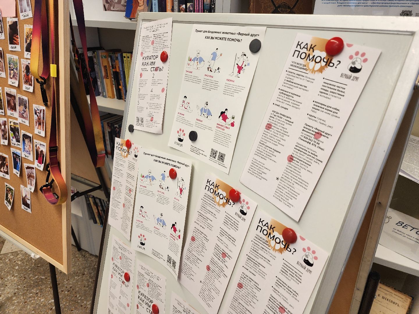 Дубна, Верный друг, Приют, Маркет, Благотворительность,