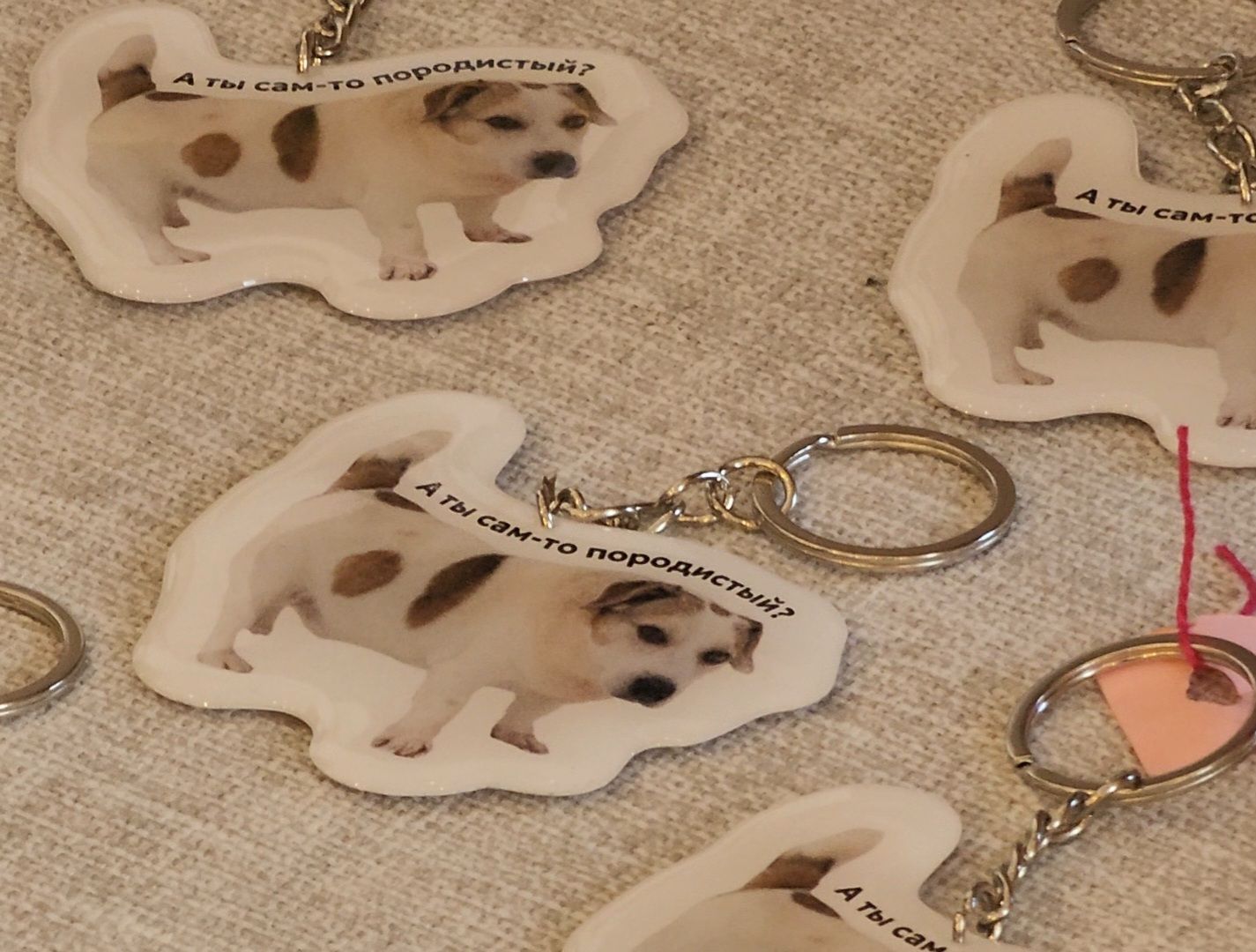 Дубна, Верный друг, Приют, Маркет, Благотворительность,