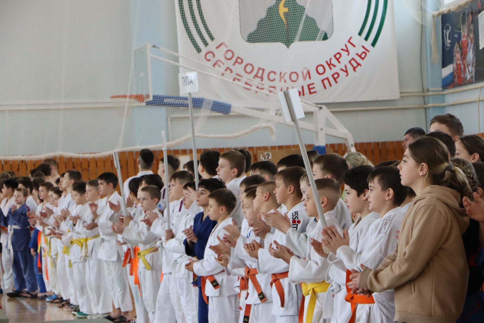 вертикалки, Серебряные Пруды, Спорт, дзюдо, сумо, турнир памяти воина-интернационалиста Храмшина,