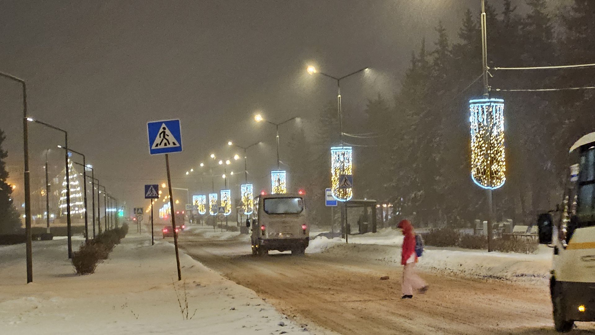 новый год, Жуковский, ёлка,