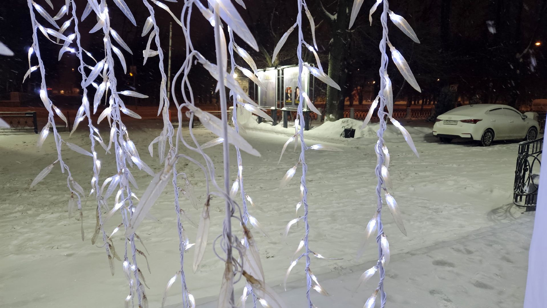 новый год, Жуковский, ёлка,