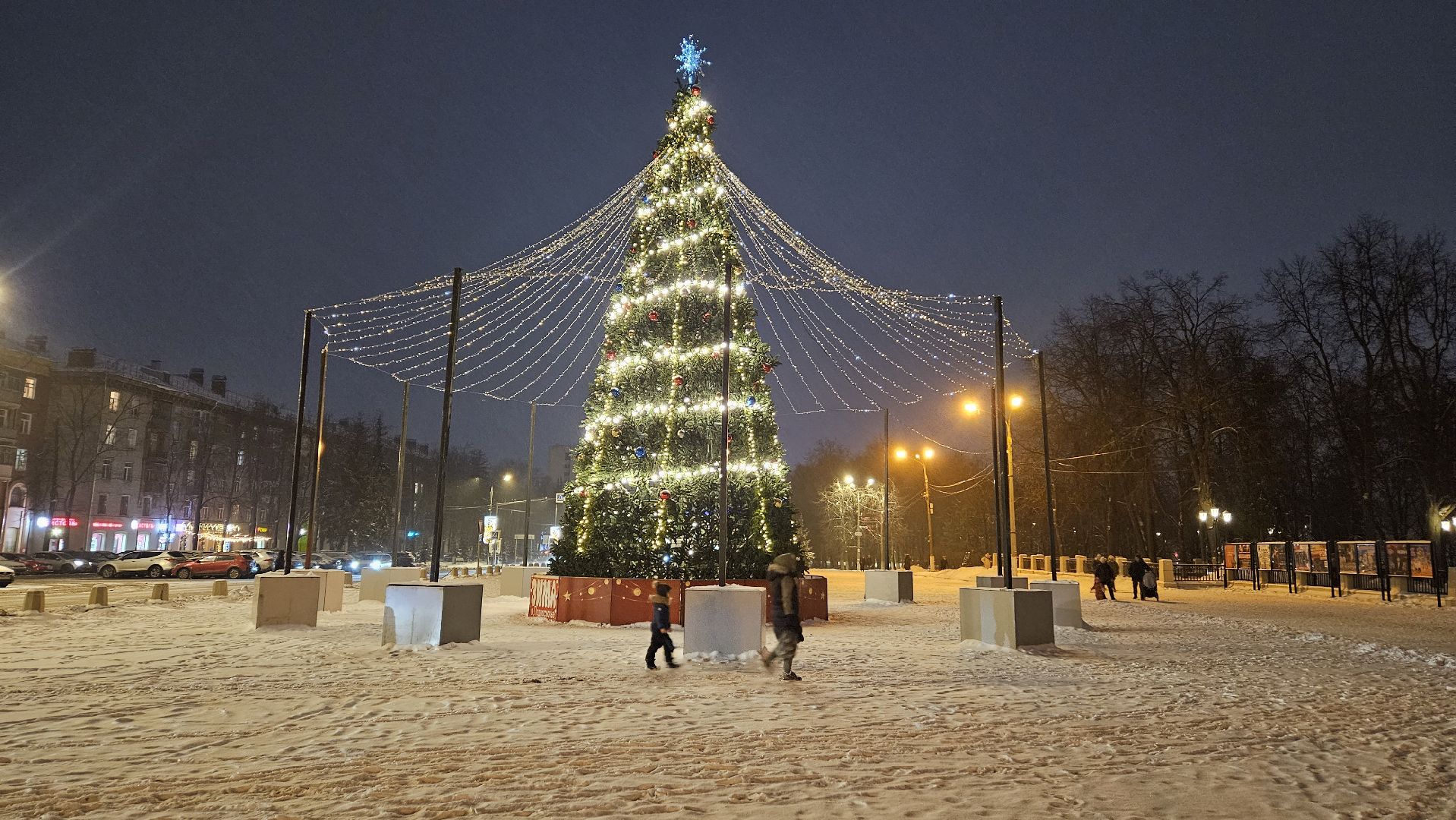 новый год, Жуковский, ёлка,