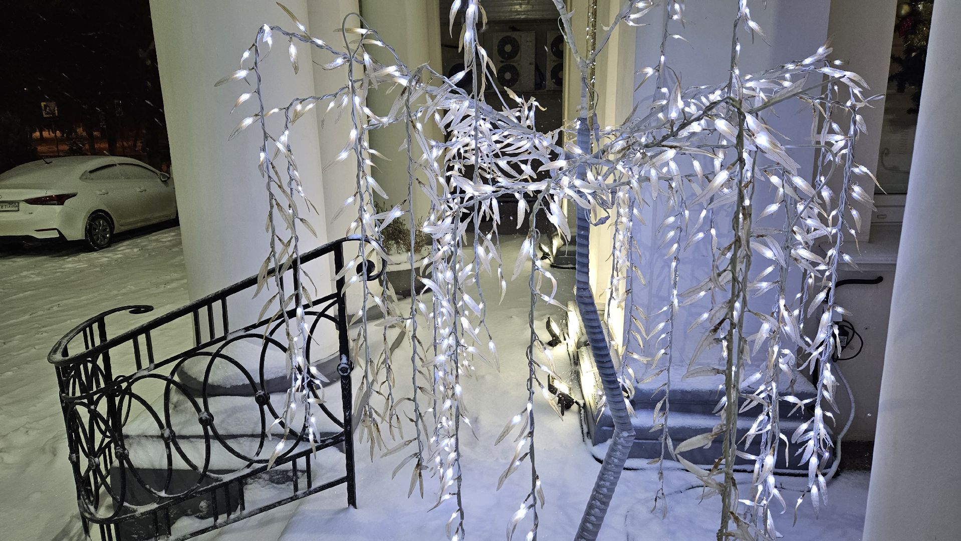 новый год, Жуковский, ёлка,