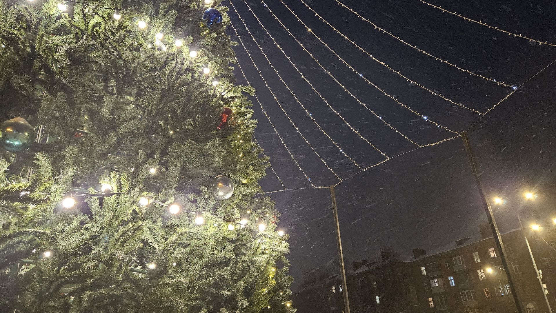 новый год, Жуковский, ёлка,