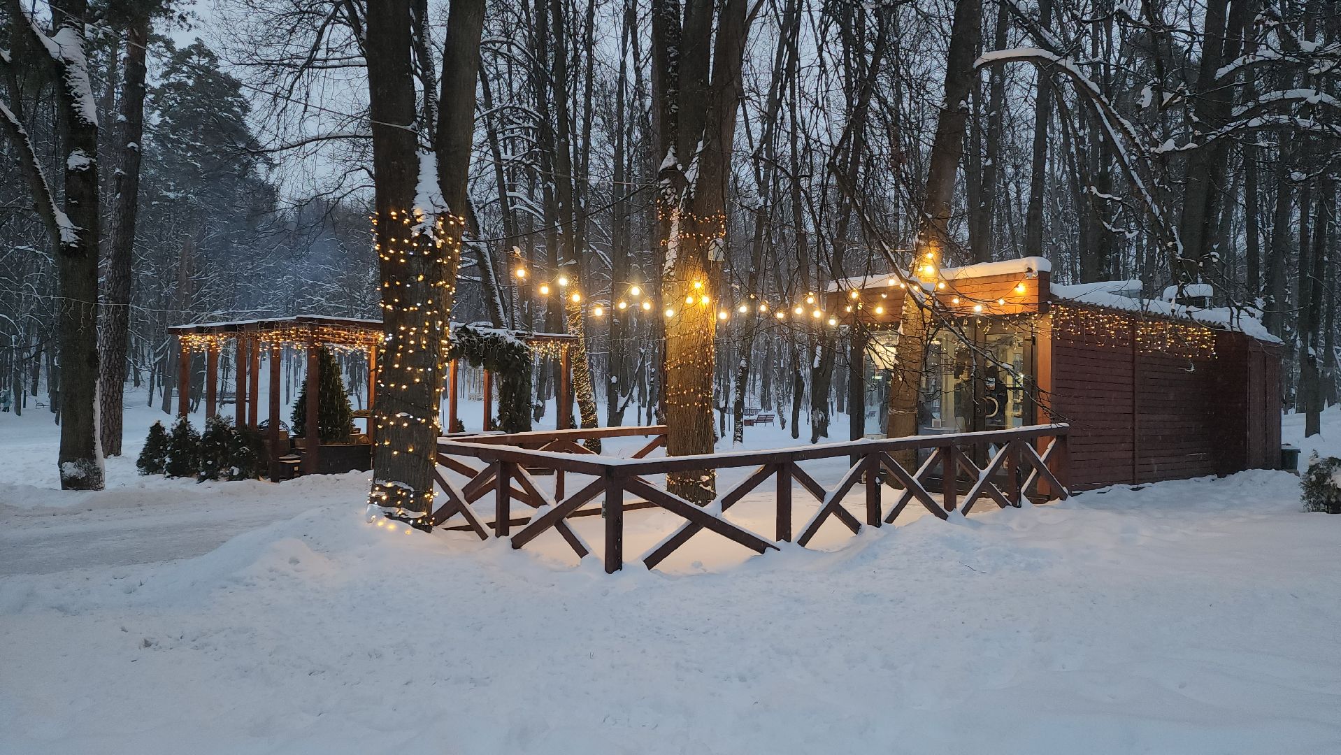 красногорск, городской парк, новый год,Вертикалка, Вертикальное видео,