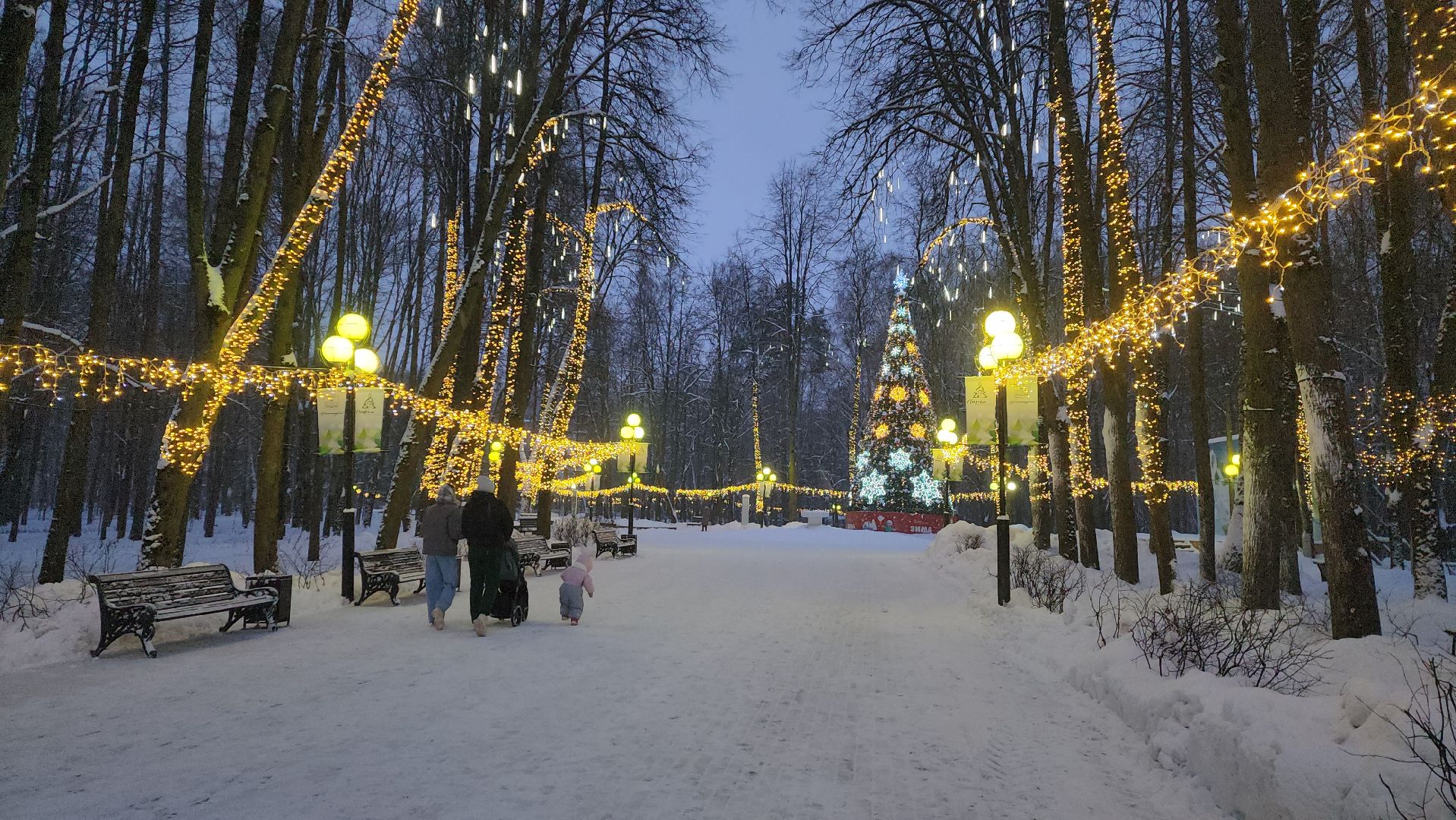 красногорск, городской парк, новый год,Вертикалка, Вертикальное видео,