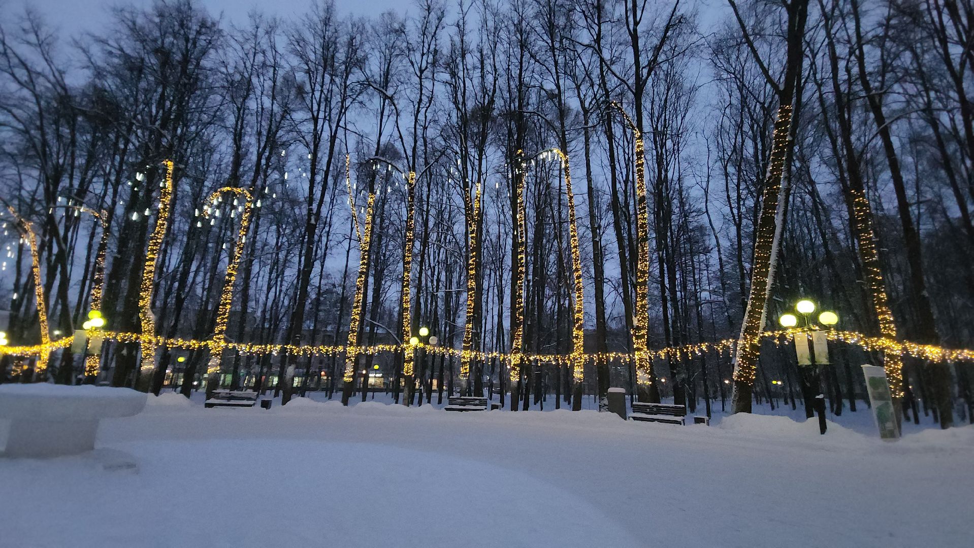 красногорск, городской парк, новый год,Вертикалка, Вертикальное видео,