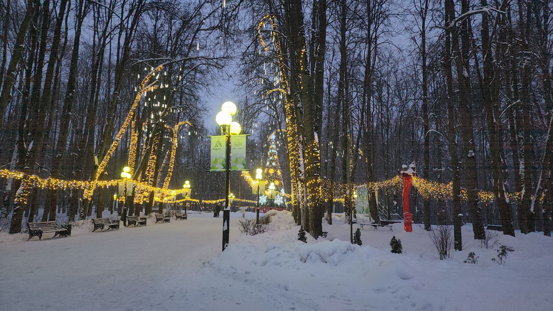 красногорск, городской парк, новый год,Вертикалка, Вертикальное видео,