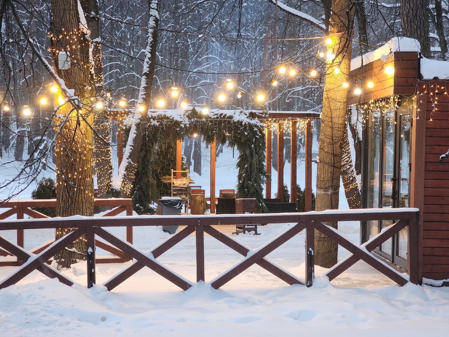 красногорск, городской парк, новый год,Вертикалка, Вертикальное видео,