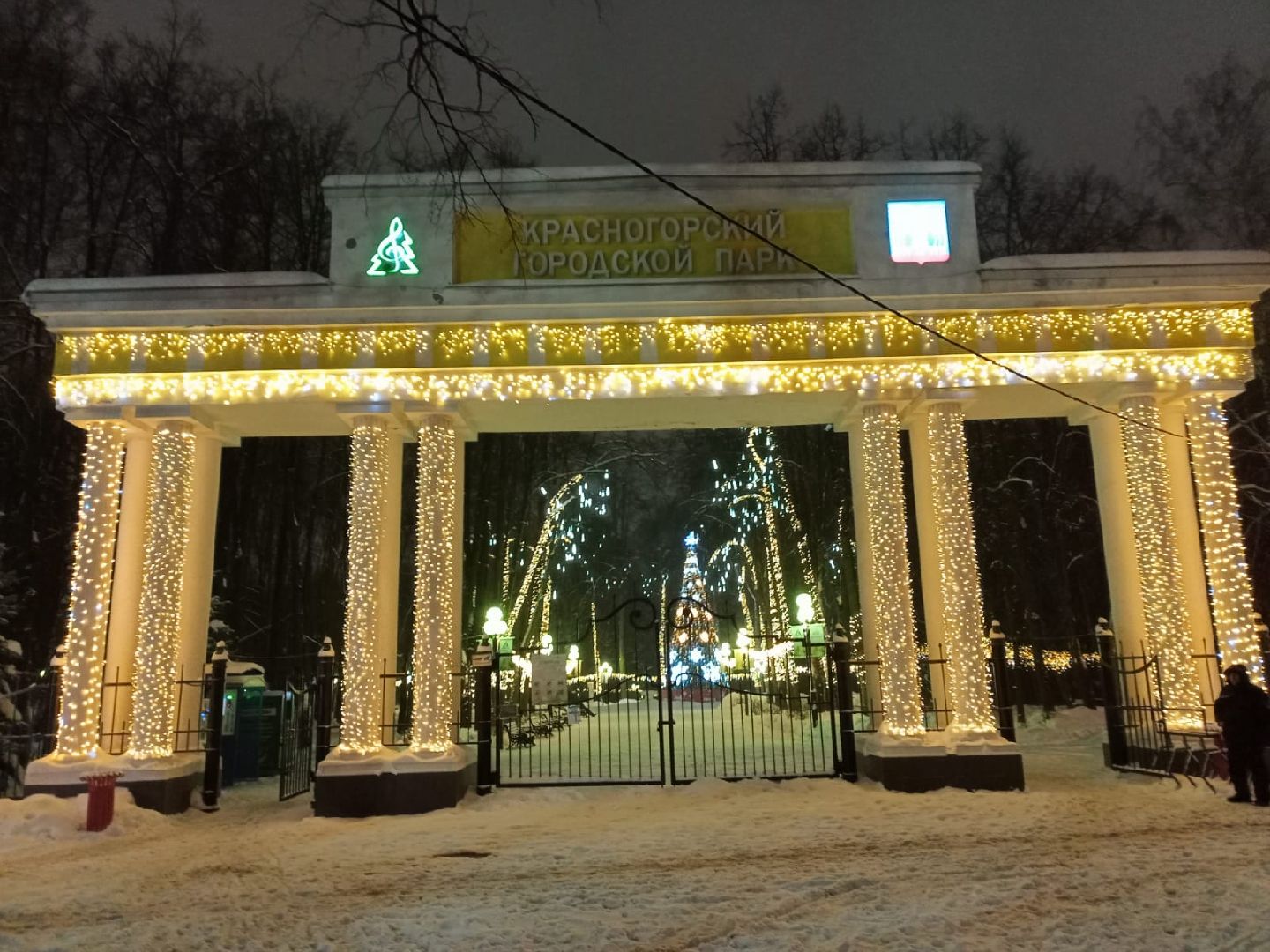 красногорск, городской парк, новый год,Вертикалка, Вертикальное видео,