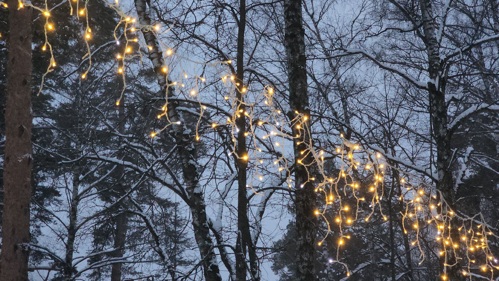 красногорск, городской парк, новый год,Вертикалка, Вертикальное видео,