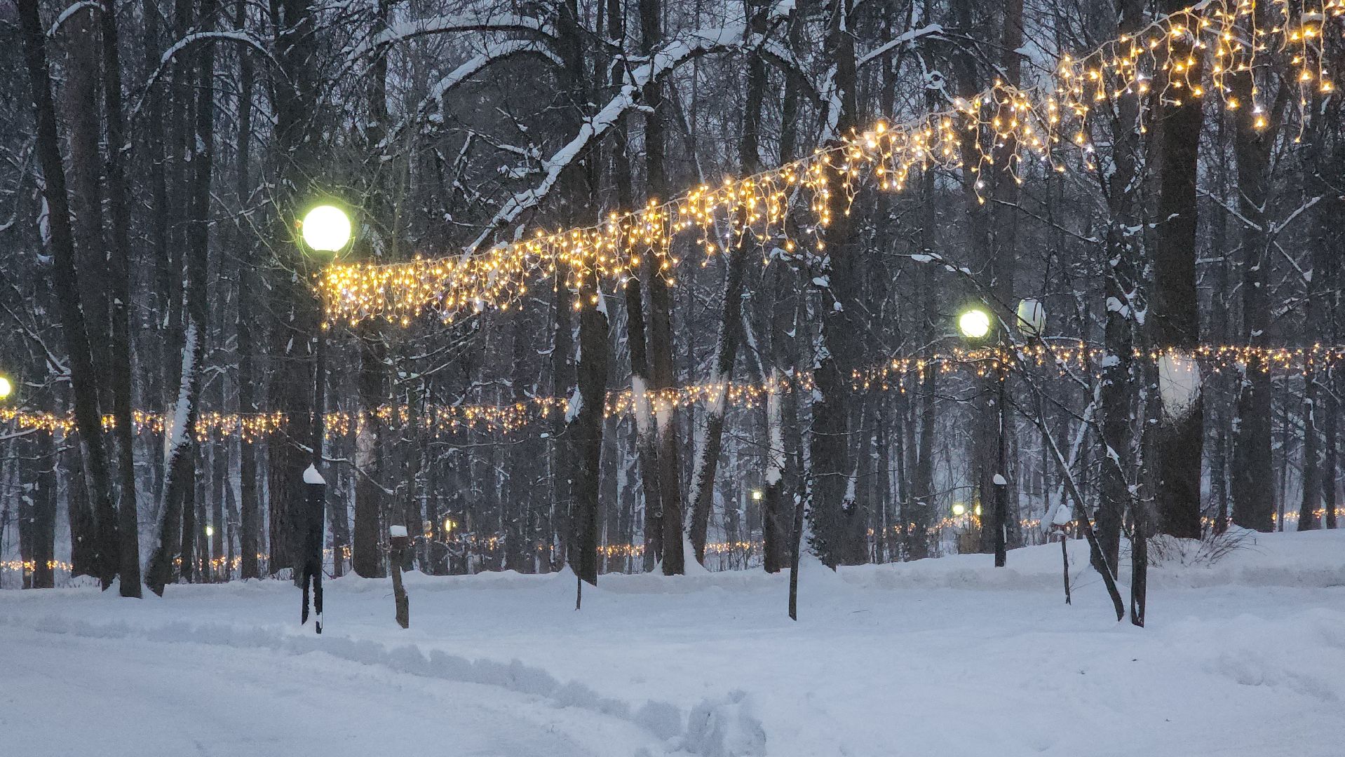 красногорск, городской парк, новый год,Вертикалка, Вертикальное видео,