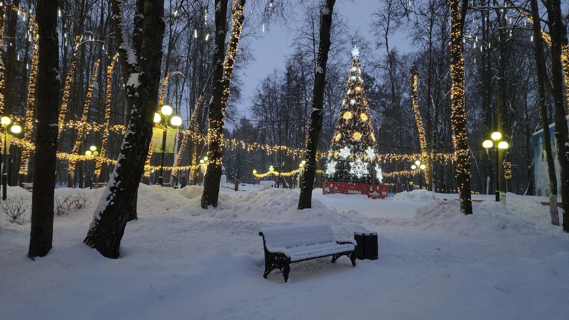 красногорск, городской парк, новый год,Вертикалка, Вертикальное видео,