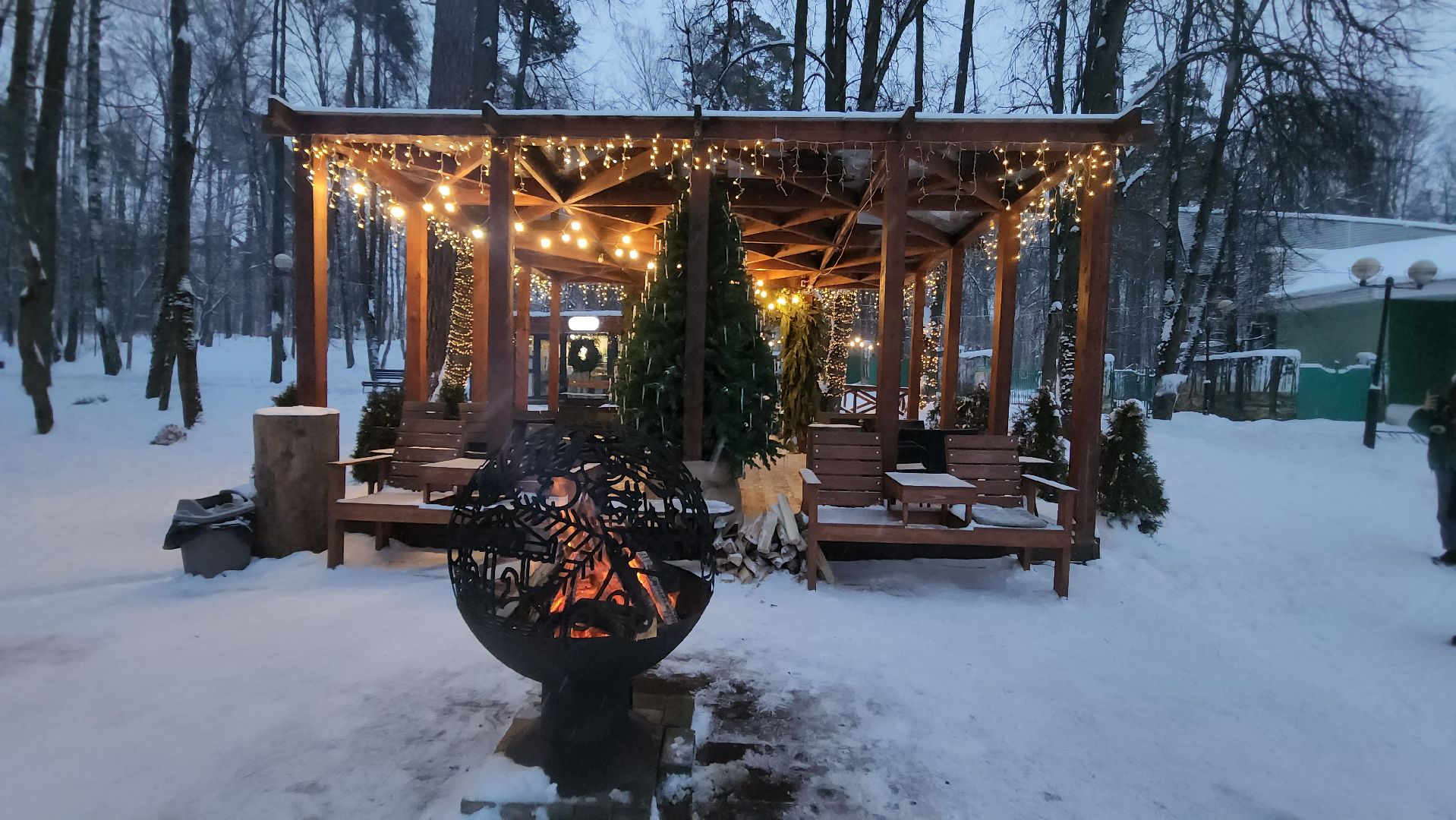 красногорск, городской парк, новый год,Вертикалка, Вертикальное видео,