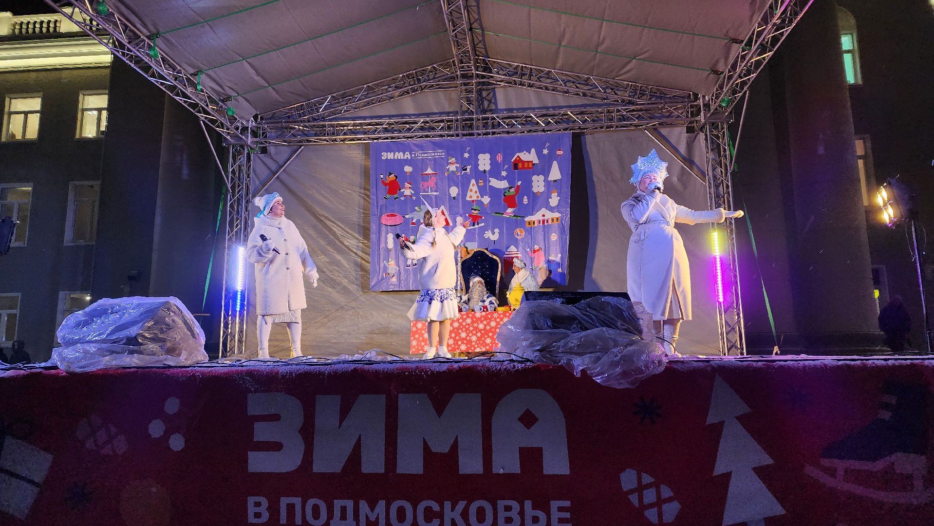 ступино, зима в подмосковье, елки,