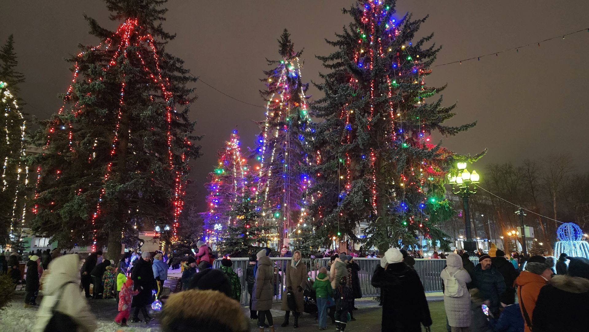 ступино, зима в подмосковье, елки,