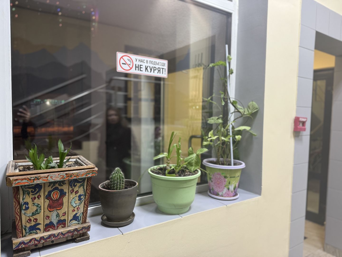 Председатель многоквартирного дома,Призер конкурса, Конкурс лучший председатель многоквартирного дома, Поселок Молоково,