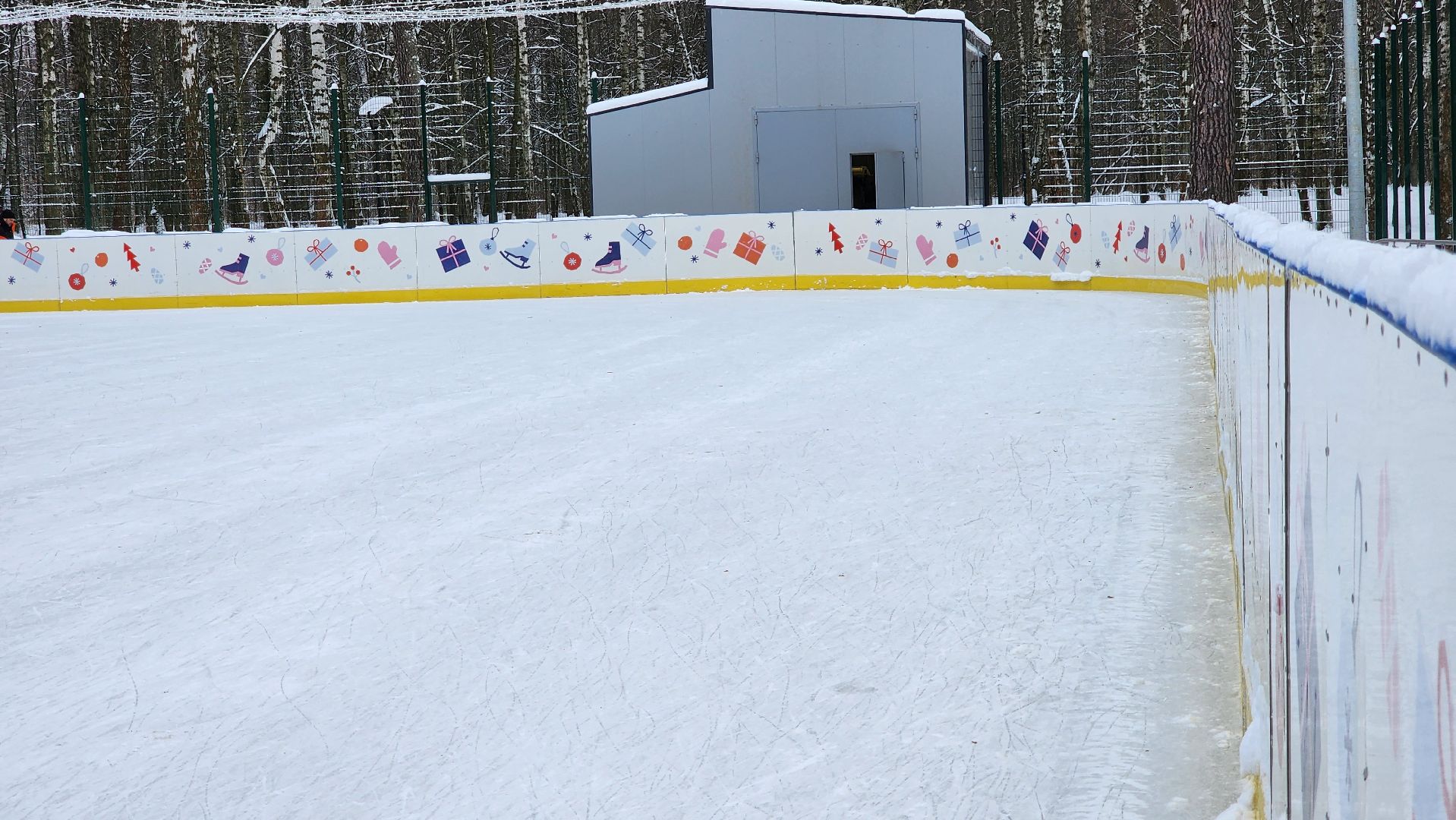 каток, зимние виды спорта, Центральный парк, Ногинск, Богородский городской округ, вертикалки