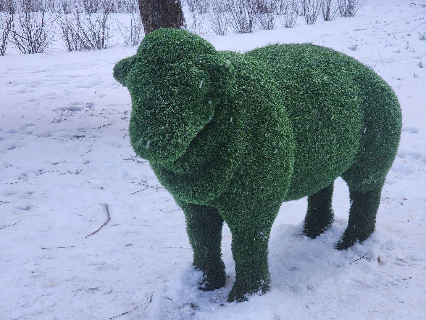 коломна, парк мира, новогоднее украшение, вертикалки,
